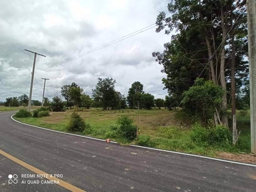 ขายที่ดินสวย-20-ไร่-24-ตรว-ตำบลรางบัว-อำเภอจอมบึง-จังหวัดราชบุรี