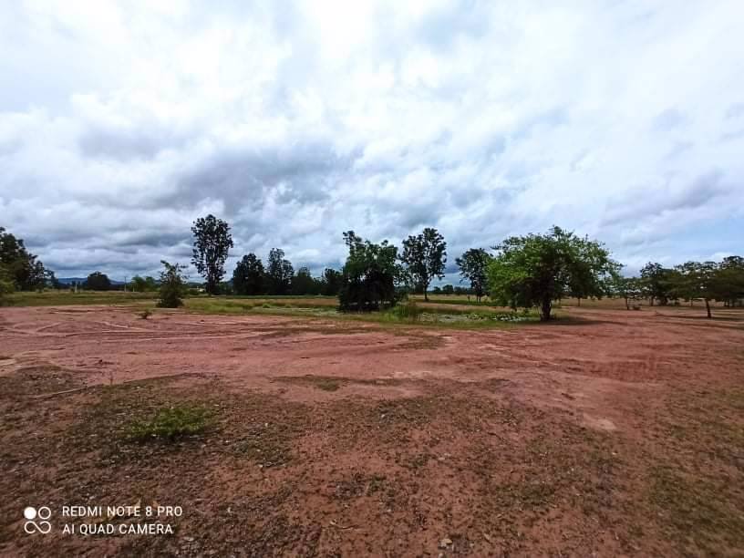 ขายที่ดินสวย-20-ไร่-24-ตรว-ตำบลรางบัว-อำเภอจอมบึง-จังหวัดราชบุรี