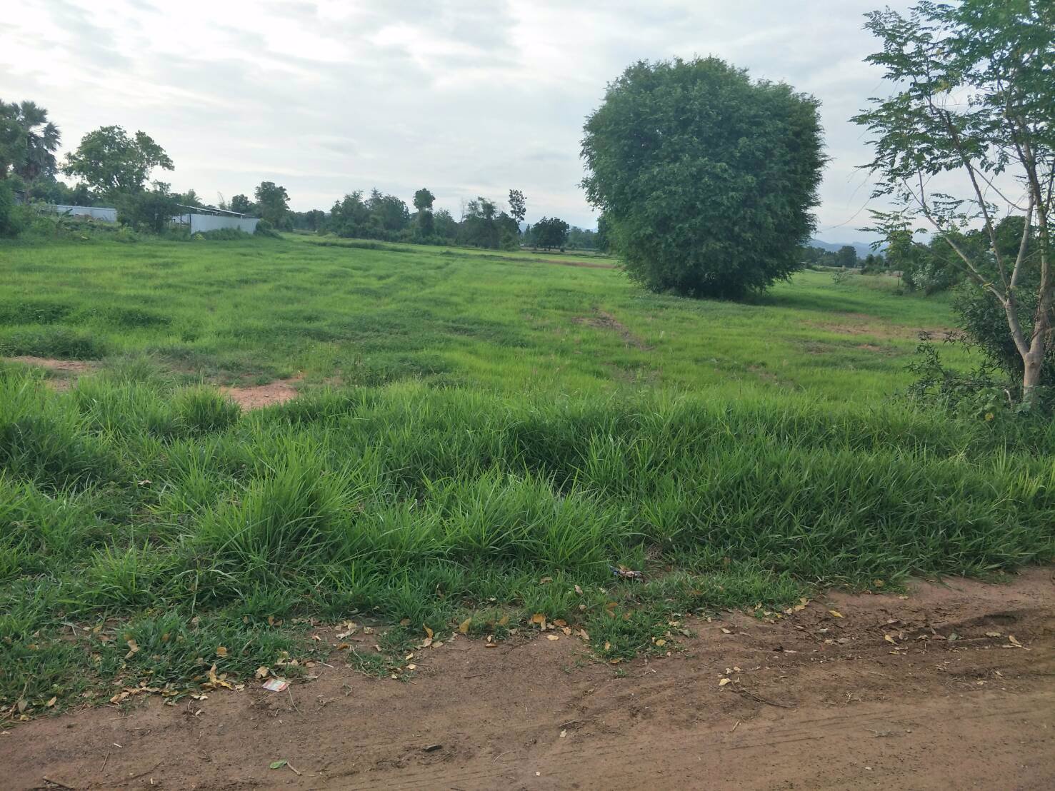 ขายที่ดินเปล่า-หมู่บ้านคันนาหิน-ตำบลโคกสลุง-อำเภอพัฒนานิคม-จังหวัดลพบุรี