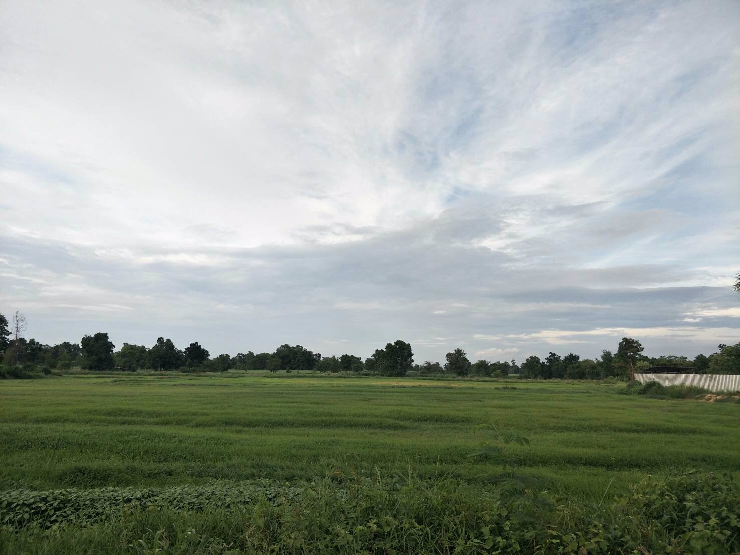 ขายที่ดินเปล่า-หมู่บ้านคันนาหิน-ตำบลโคกสลุง-อำเภอพัฒนานิคม-จังหวัดลพบุรี