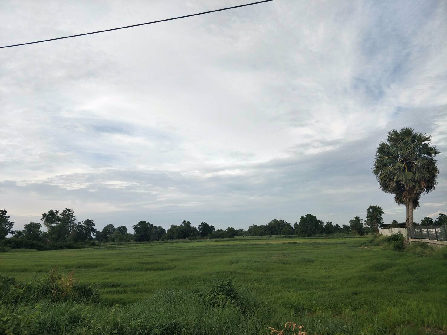 ขายที่ดินเปล่า-หมู่บ้านคันนาหิน-ตำบลโคกสลุง-อำเภอพัฒนานิคม-จังหวัดลพบุรี