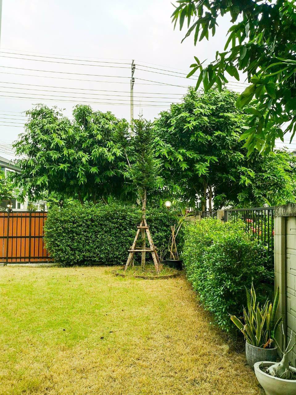 ขายบ้านเดี่ยว-หมู่บ้านอิคอนเนเจอร์รามอินทรา-ถนนพระยาสุเรนทร์-ถนนรามอินทรา-109-เขตคลองสามวา-กรุงเทพ