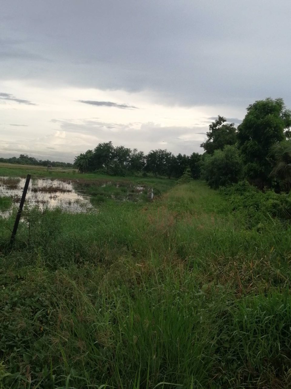 ขายที่ดินเปล่า-ที่ดินสวย-หน้ากว้าง-เหมาะปลูกบ้าน-กรุงเทพฯ