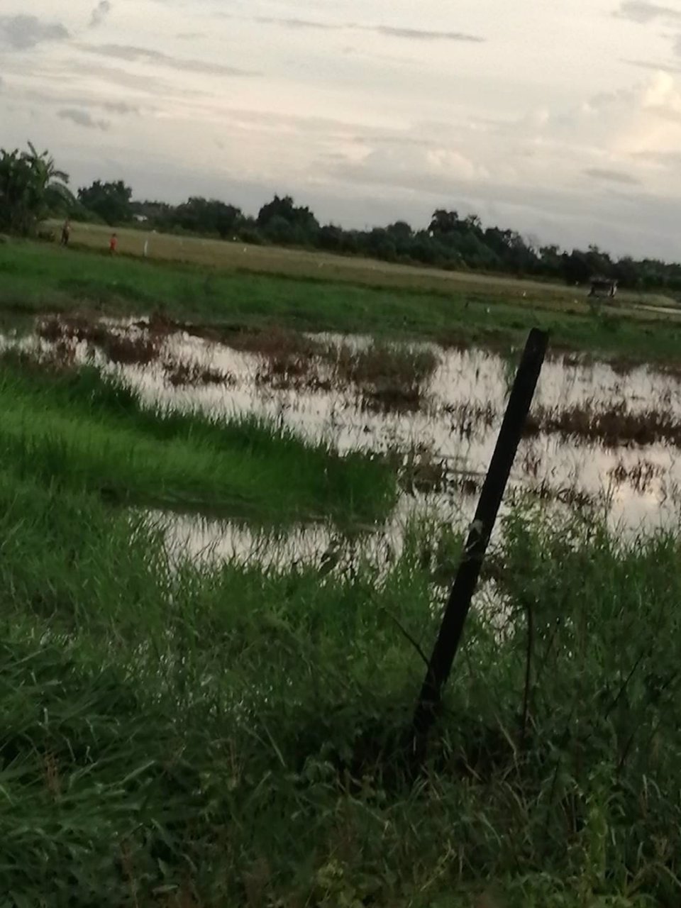 ขายที่ดินเปล่า-ที่ดินสวย-หน้ากว้าง-เหมาะปลูกบ้าน-กรุงเทพฯ