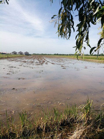 ขายที่ดินเปล่า-ทำเลดี-ติดถนนสาธารณะ-หนองจอก-กรุงเทพฯ