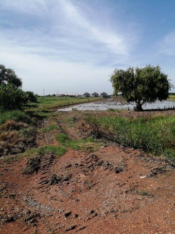 ขายที่ดินเปล่า-ทำเลดี-ติดถนนสาธารณะ-หนองจอก-กรุงเทพฯ