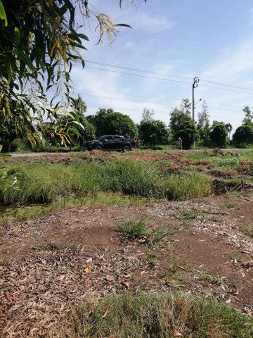 ขายที่ดินเปล่า-ทำเลดี-ติดถนนสาธารณะ-หนองจอก-กรุงเทพฯ