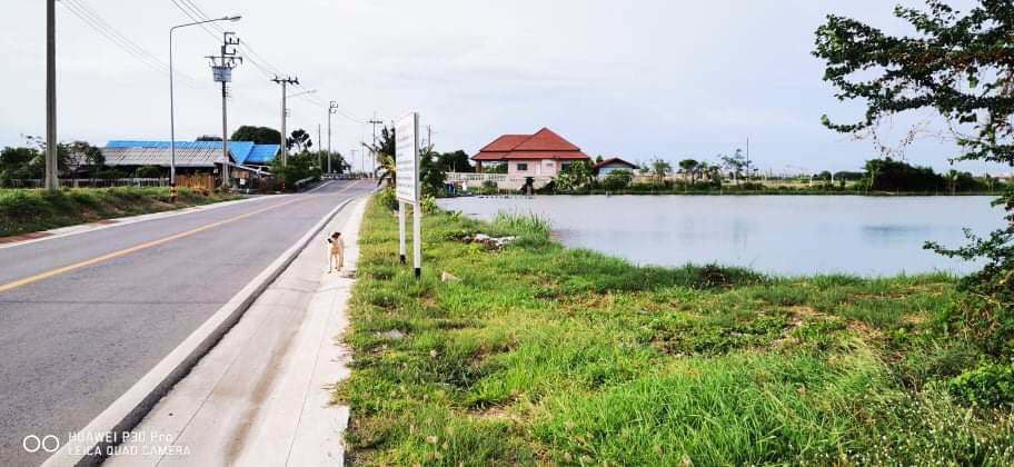 ขายที่ดินเนื้อที่-7-ไร่-อำเภอบางพลี-จังหวัดสมุทรปราการ
