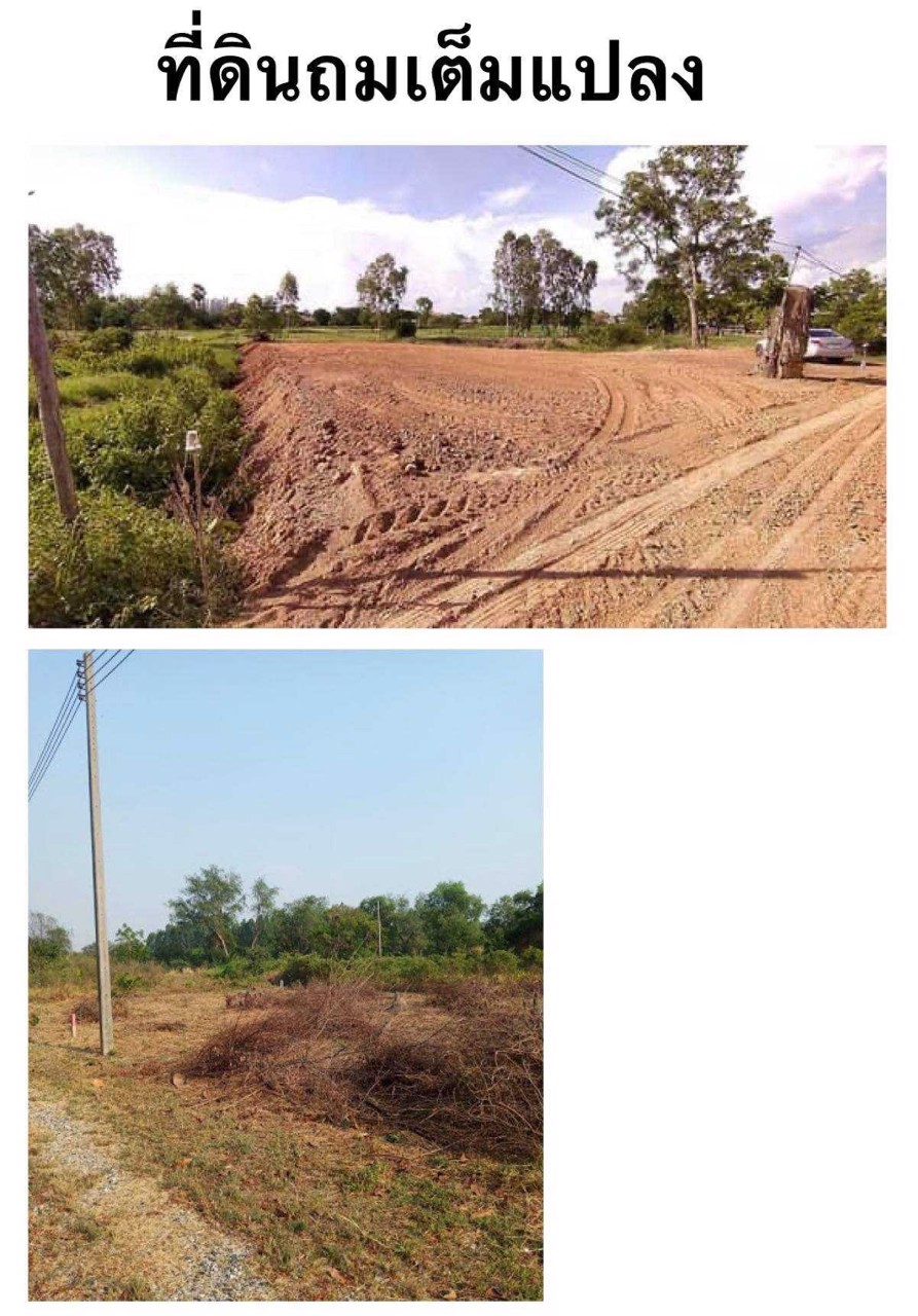 ขายที่ดินทำเลอนาคต-ติดถนน-ถมแล้วทั้งแปลง-อเมืองอ่างทอง-จอ่างทอง