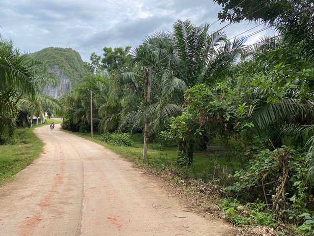 ขายที่ดินทำเลทอง-8-ไร่-2-งาน-อำเภอเขาชัยสน-จังหวัดพัทลุง