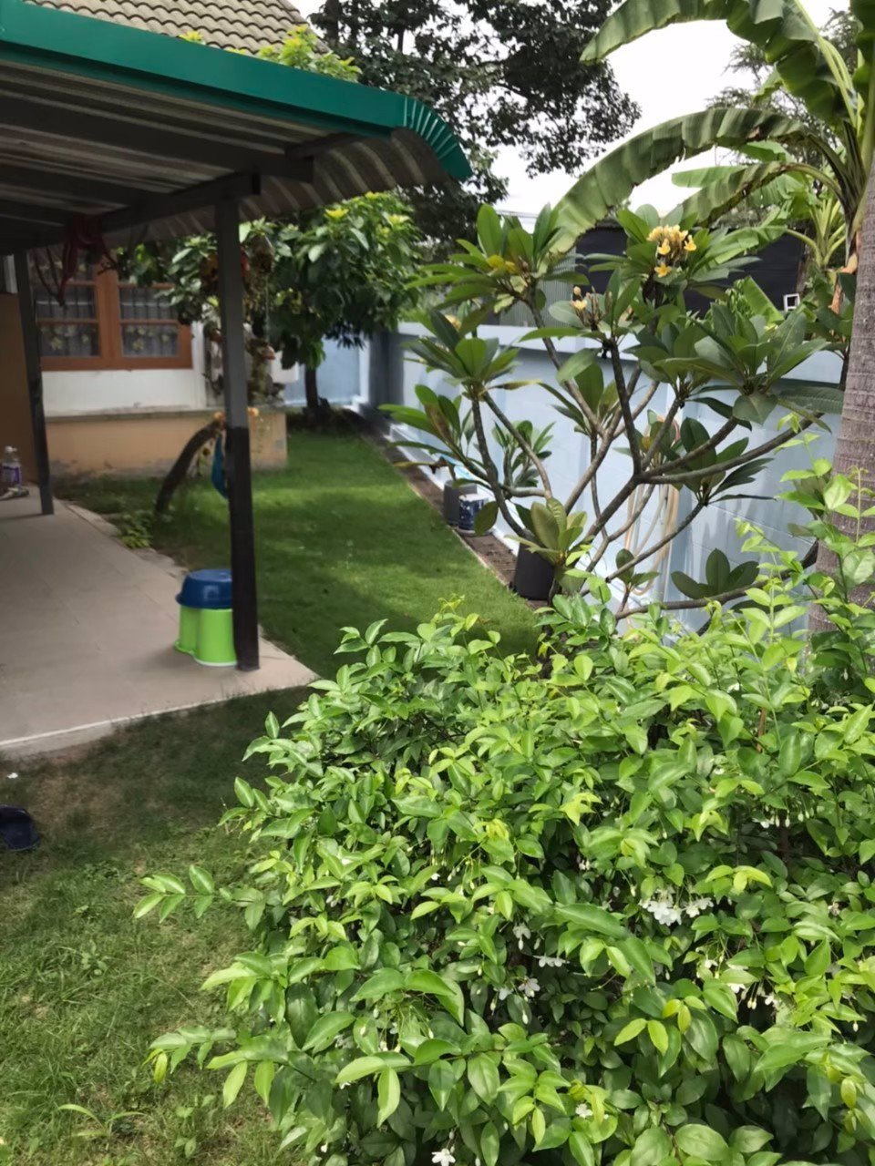 ขายบ้านเดี่ยวชั้นเดียวหมู่บ้านสวนสิริน-ตำบลสุรศักดิ์-อำเภอศรีราชา-จังหวัดชลบุรี