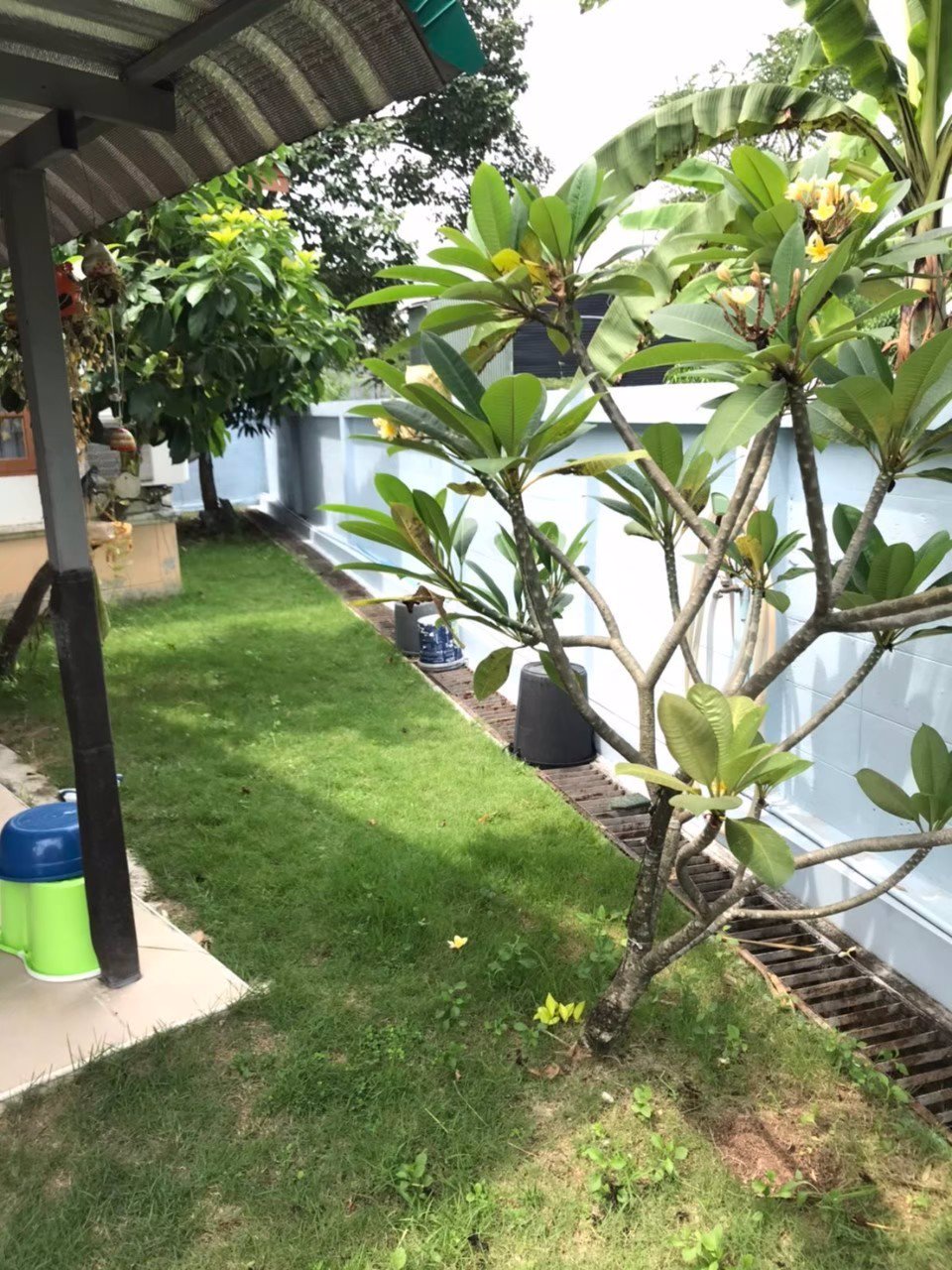 ขายบ้านเดี่ยวชั้นเดียวหมู่บ้านสวนสิริน-ตำบลสุรศักดิ์-อำเภอศรีราชา-จังหวัดชลบุรี