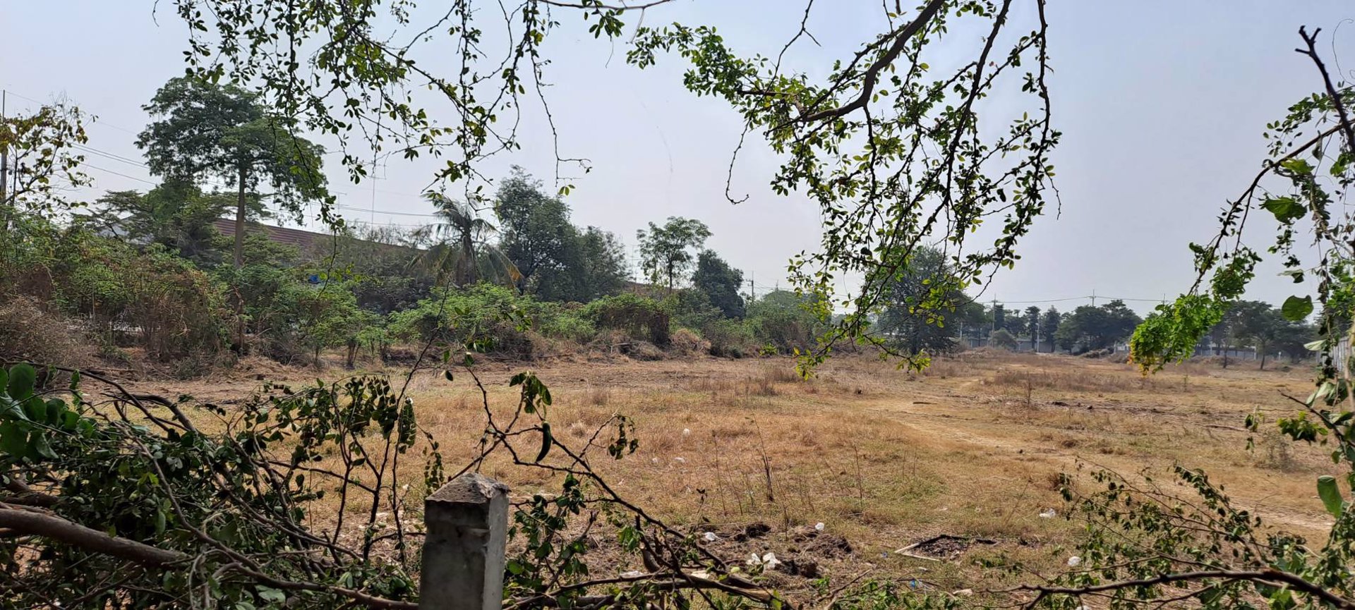 ขายที่ดิน-บรรยากาศดี-อยู่ติดถนน-4-เลน-ติดบึงกระจับ-บ้านโป่ง-ราชบุรี