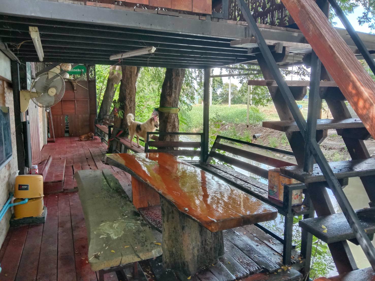 ขายทาวน์เฮ้าส์-2-ชั้น-หมู่บ้านพฤกษา15-บางพลี-ตำหรุ-สมุทรปราการ-บ้านสวย