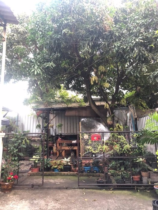 ขายทาวน์โฮม-2-ชั้น-อุดมสุข-51-ซอยประวิทย์เเละเพื่อน-10-ใกล้-bts-อุดมสุข-ปุณณวิถี-กรุงเทพฯ