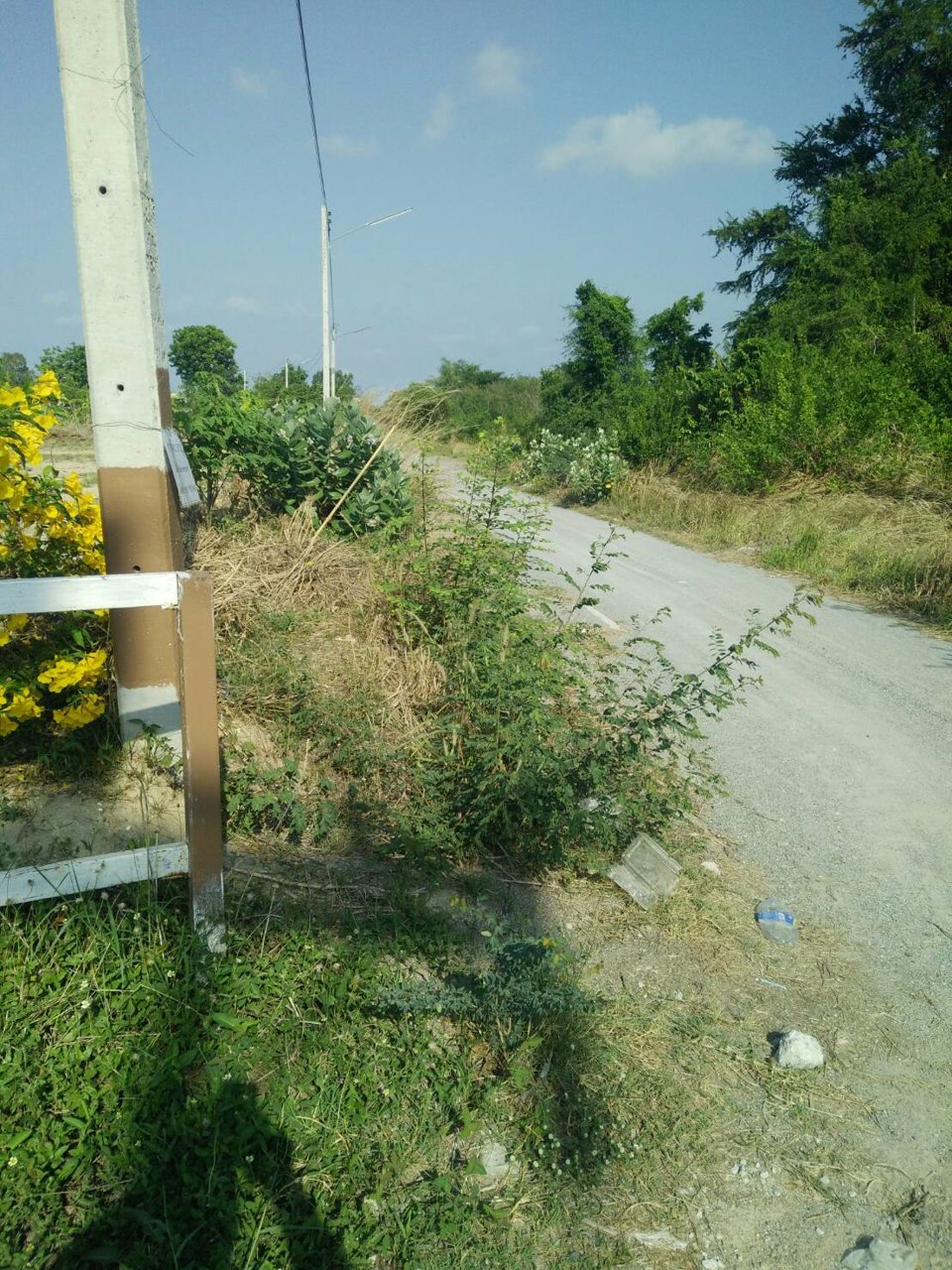 ขายที่ดิน-286-ตรวา-เหมาะสำหรับปลูกบ้าน-น้ำไฟเข้าถึง-ตำบลห้วยกะปิ-เมืองชลบุรี