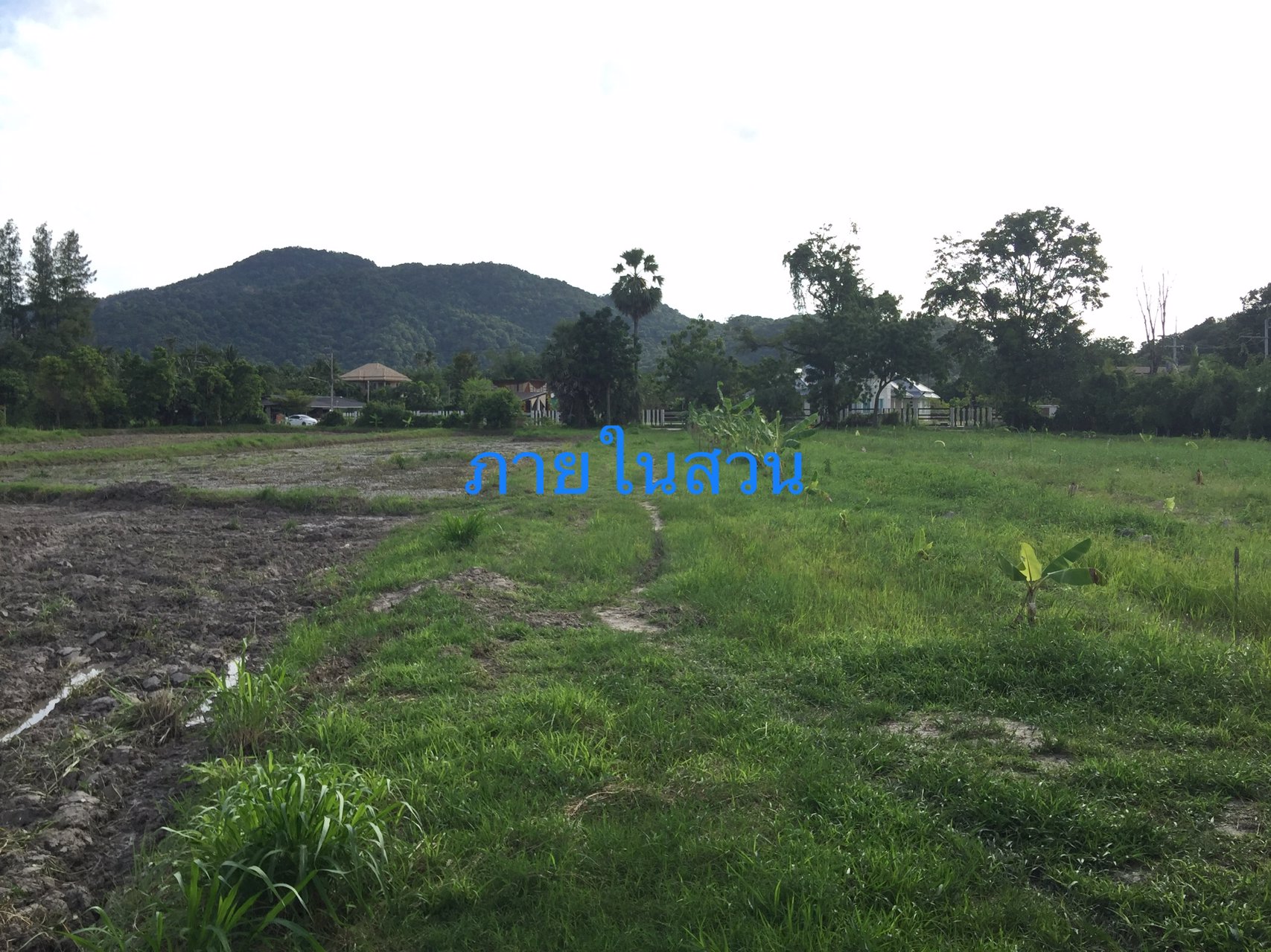 ขายที่ดินแปลงเกษตร-11-ไร่-90-ตรว-วิวภูเขา-เมืองชลบุรี