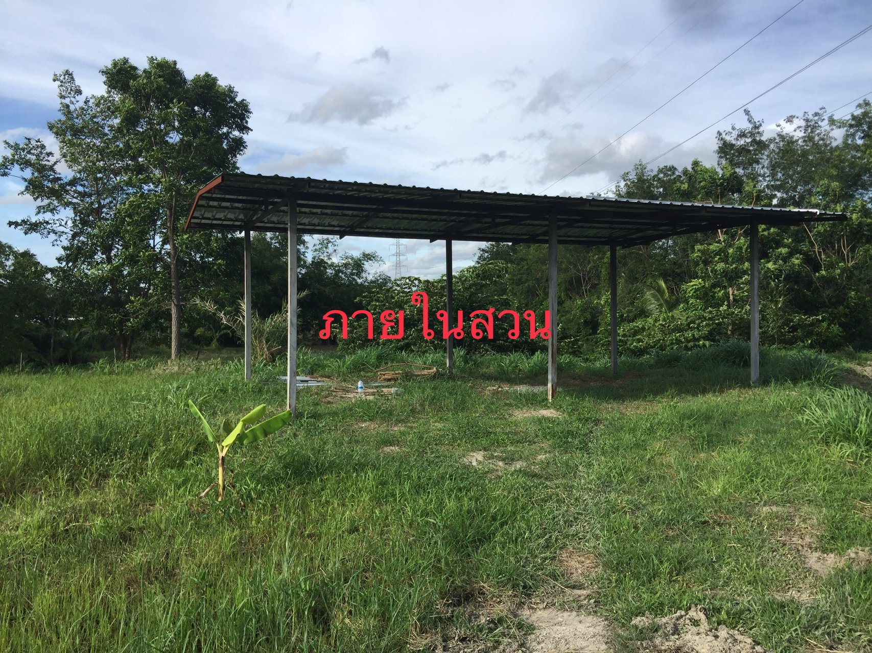 ขายที่ดินแปลงเกษตร-11-ไร่-90-ตรว-วิวภูเขา-เมืองชลบุรี