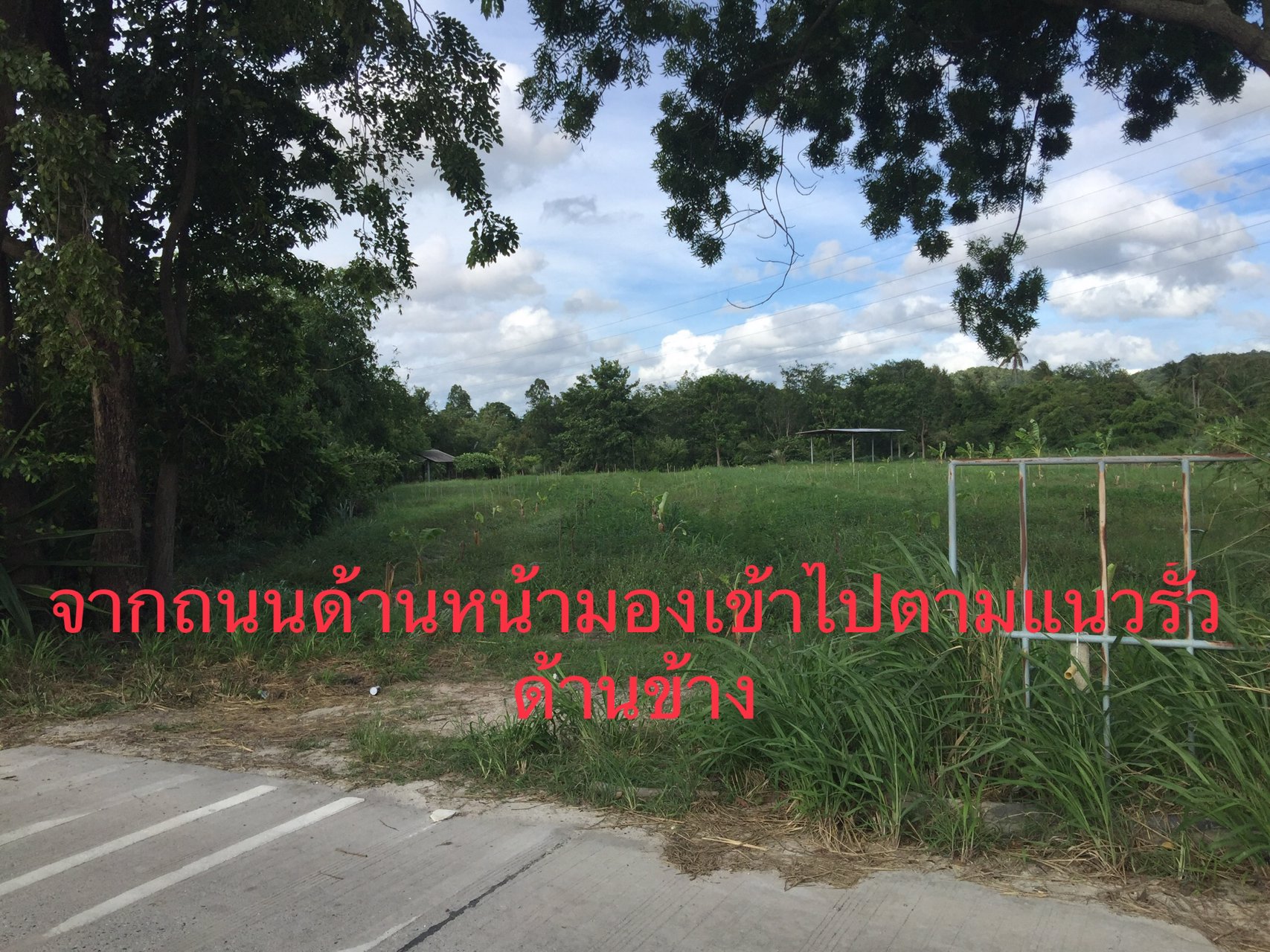 ขายที่ดินแปลงเกษตร-11-ไร่-90-ตรว-วิวภูเขา-เมืองชลบุรี