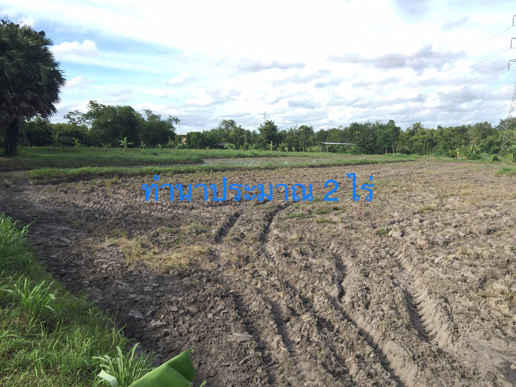 ขายที่ดินแปลงเกษตร-11-ไร่-90-ตรว-วิวภูเขา-เมืองชลบุรี