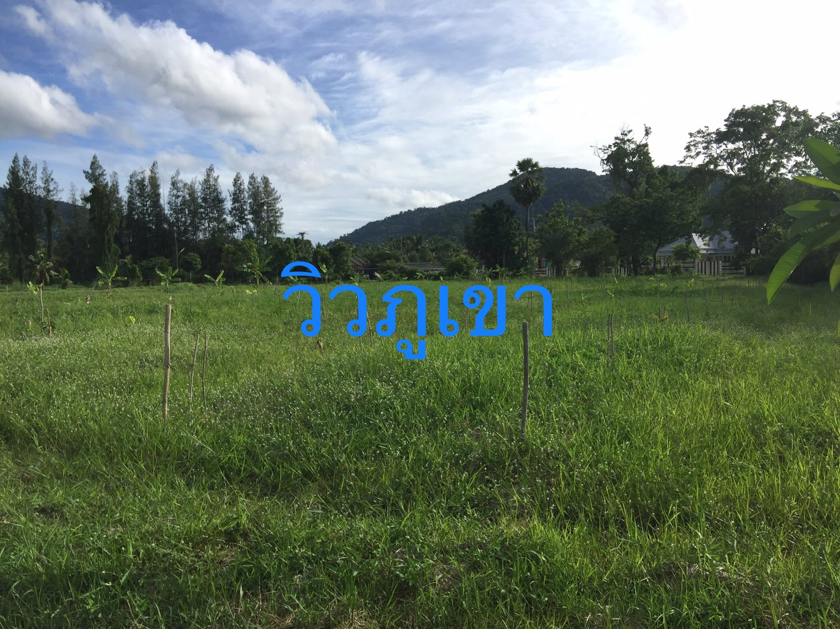 ขายที่ดินแปลงเกษตร-11-ไร่-90-ตรว-วิวภูเขา-เมืองชลบุรี
