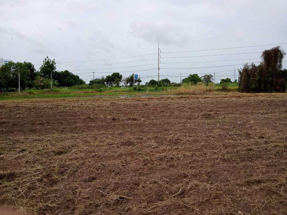 ขายที่ดิน-13-ไร่-แปลงสวย-ตำบลสมอแข-อำเภอเมือง-จังหวัดพิษณุโลก