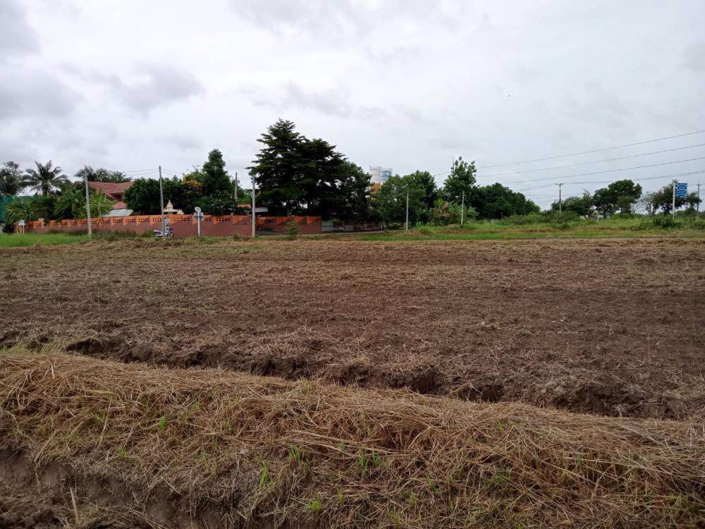 ขายที่ดิน-13-ไร่-แปลงสวย-ตำบลสมอแข-อำเภอเมือง-จังหวัดพิษณุโลก