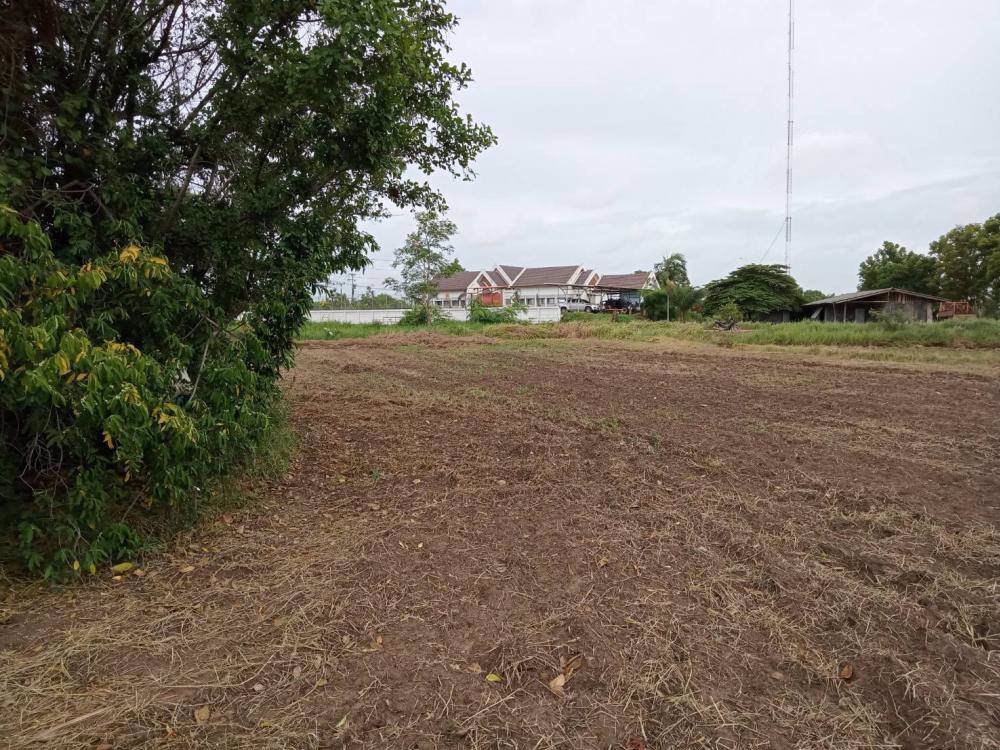 ขายที่ดิน-13-ไร่-แปลงสวย-ตำบลสมอแข-อำเภอเมือง-จังหวัดพิษณุโลก