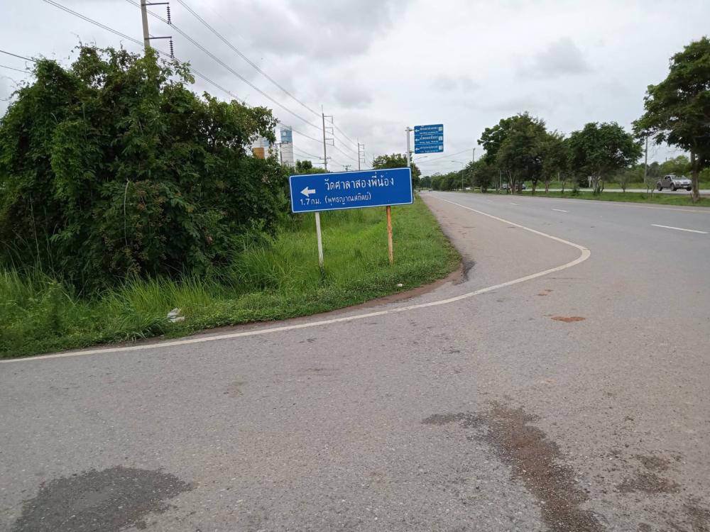 ขายที่ดิน-13-ไร่-แปลงสวย-ตำบลสมอแข-อำเภอเมือง-จังหวัดพิษณุโลก