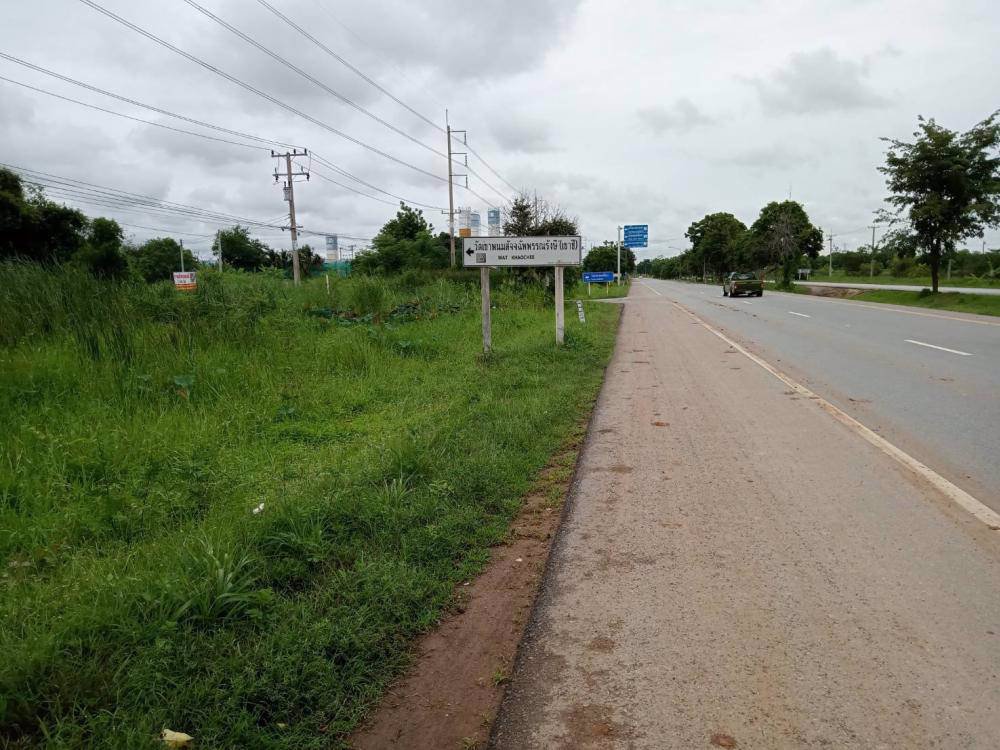 ขายที่ดิน-13-ไร่-แปลงสวย-ตำบลสมอแข-อำเภอเมือง-จังหวัดพิษณุโลก