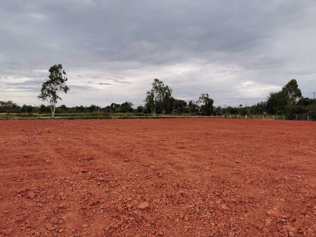 ขายที่ดินถมแล้ว-3-ไร่-2-งาน-16-ตารางวา-หมู่บ้านโนนกอก-จังหวัดชัยภูมิ