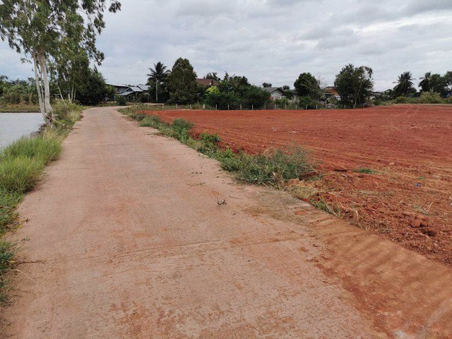 ขายที่ดินถมแล้ว-3-ไร่-2-งาน-16-ตารางวา-หมู่บ้านโนนกอก-จังหวัดชัยภูมิ