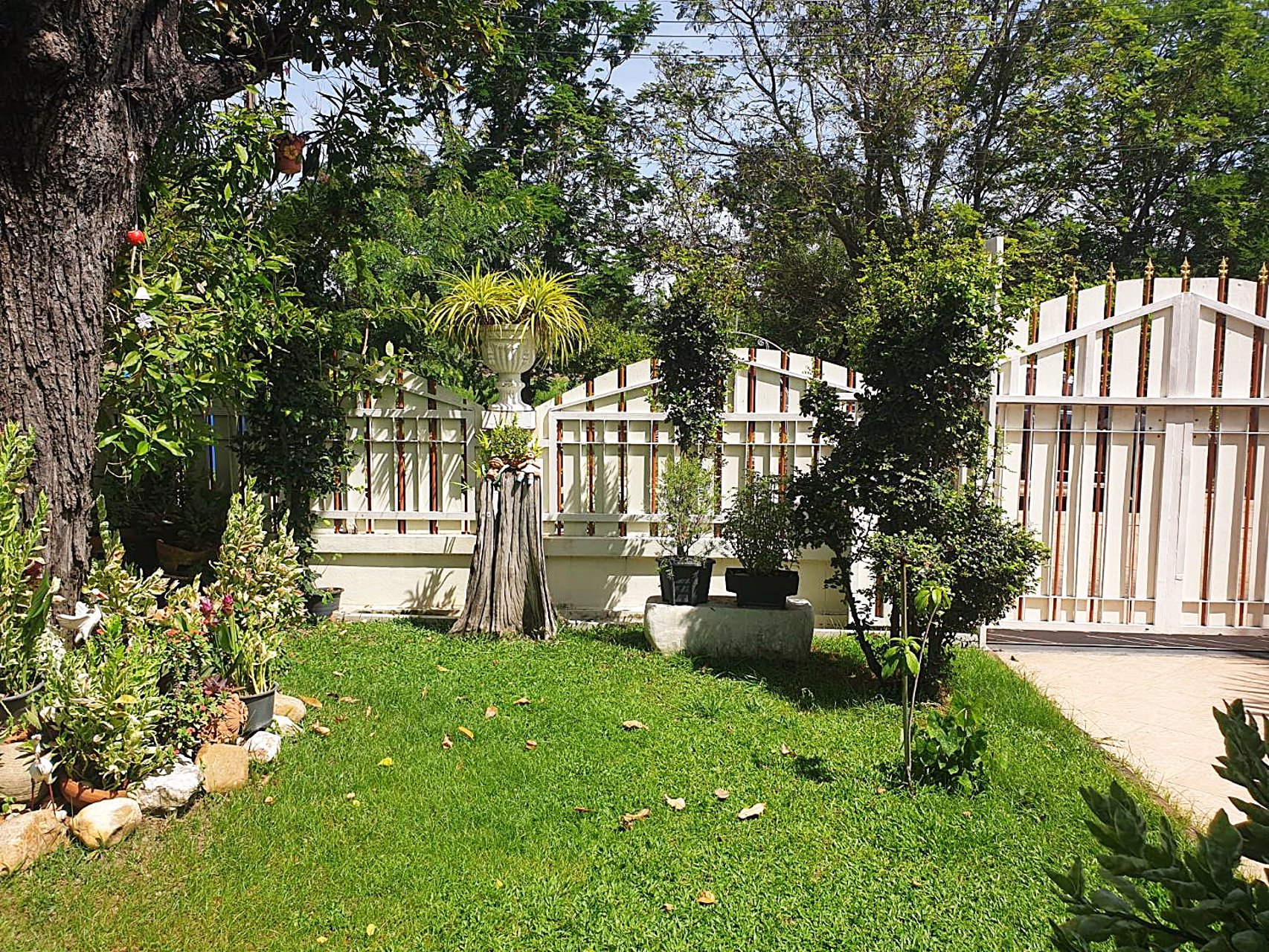 บ้านเดี่ยว-2-ชั้น-หลังใหญ่-พร้อมสวน-ตกแต่งเรียบหรู-เฟอร์นิเจอร์ครบ-พร้อมเข้าอยู่-ปทุมธานี