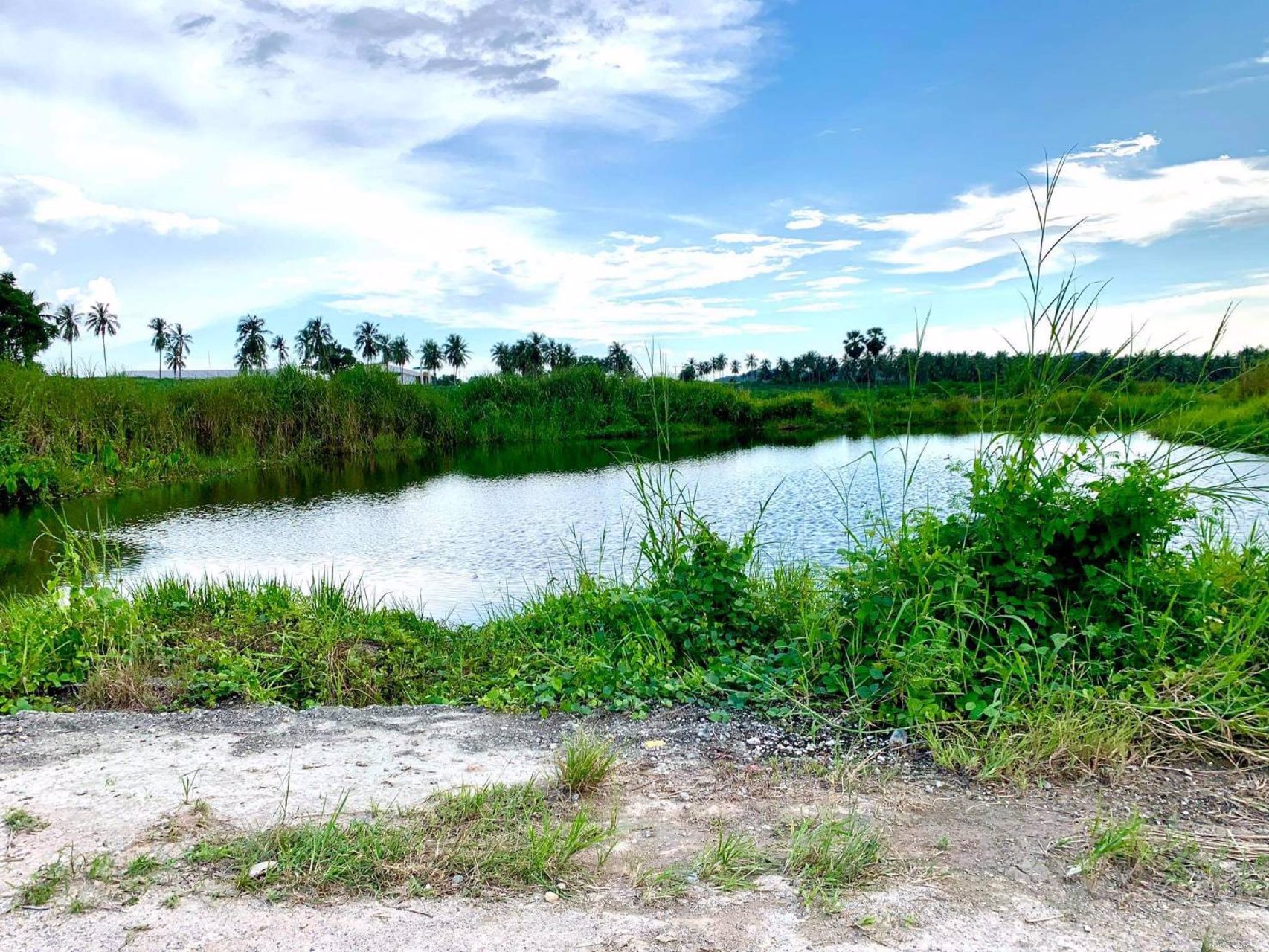 ที่ดินแบ่งขาย-ถูกสุดในศรีราชา-น้ำไฟเข้าถึง-ตำบลเขาคันทรง-จังหวัดชลบุรี