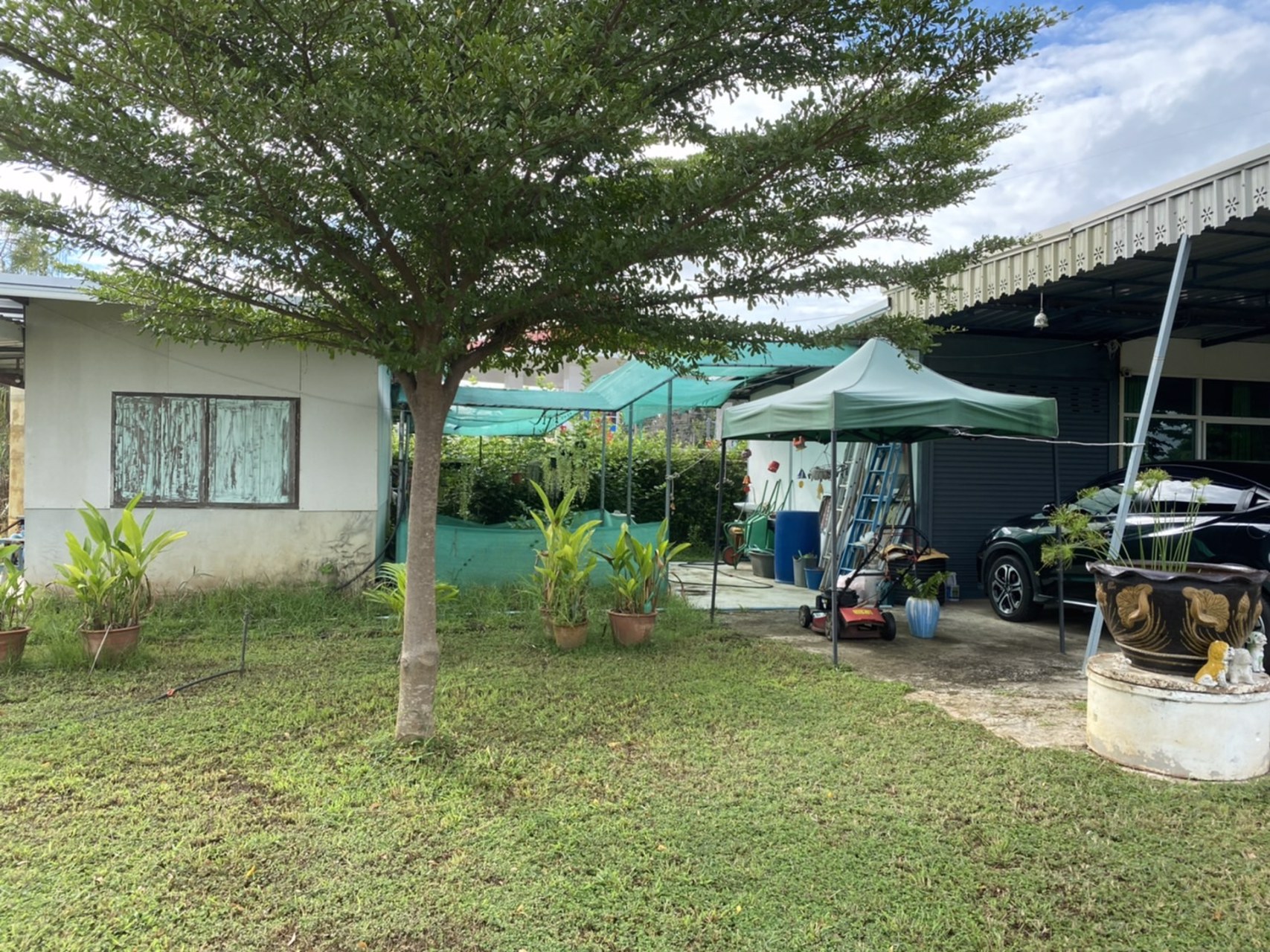 ขายที่ดินถมแล้ว-ติดถนน-อเมืองพิษณุโลก-น-พลายชุมพล-ที่สวยทำเลทอง-ขายที่ดิน-ใน-พลายชุมพล-เมืองพิษณุ