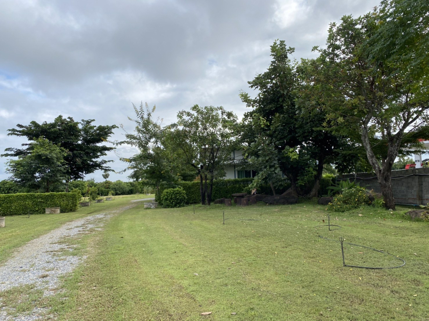 ขายที่ดินถมแล้ว-ติดถนน-อเมืองพิษณุโลก-น-พลายชุมพล-ที่สวยทำเลทอง-ขายที่ดิน-ใน-พลายชุมพล-เมืองพิษณุ