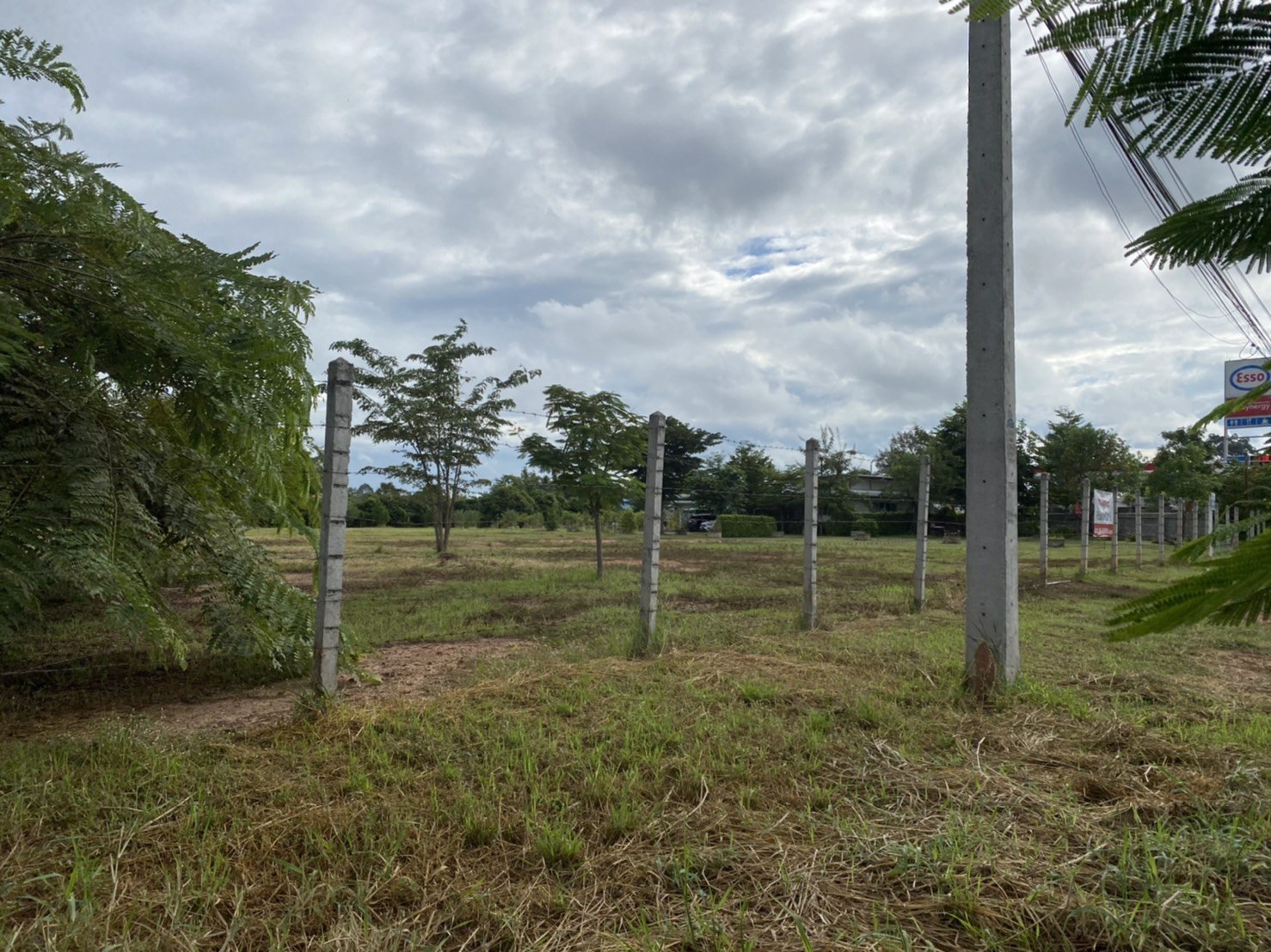 ขายที่ดินถมแล้ว-ติดถนน-อเมืองพิษณุโลก-น-พลายชุมพล-ที่สวยทำเลทอง-ขายที่ดิน-ใน-พลายชุมพล-เมืองพิษณุ