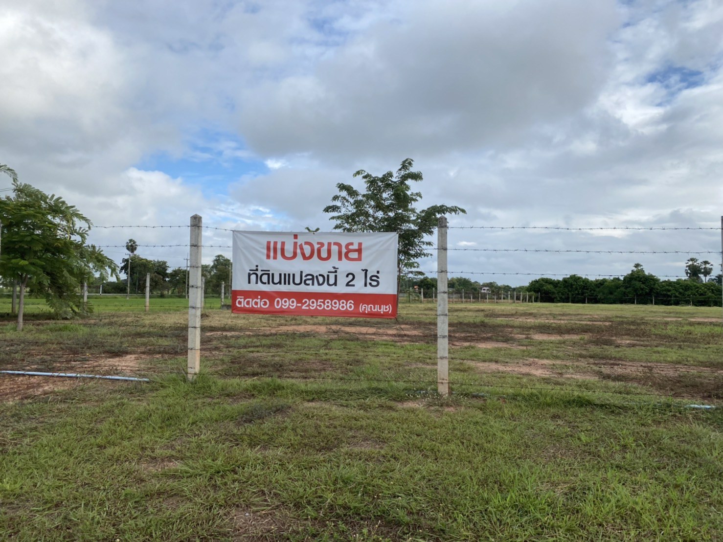 ขายที่ดินถมแล้ว-ติดถนน-อเมืองพิษณุโลก-น-พลายชุมพล-ที่สวยทำเลทอง-ขายที่ดิน-ใน-พลายชุมพล-เมืองพิษณุ