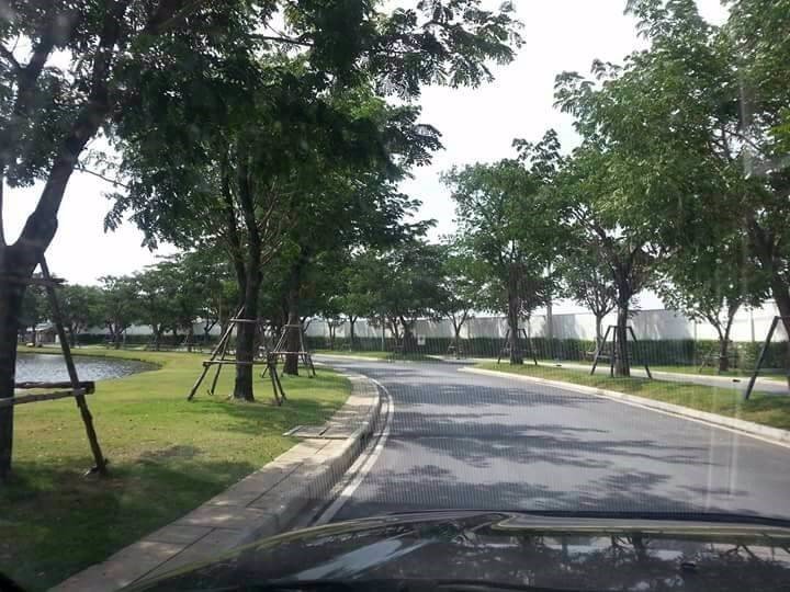 ขาย-ทาวน์โฮม-วิลาจิโอ-บางนา-land-house-