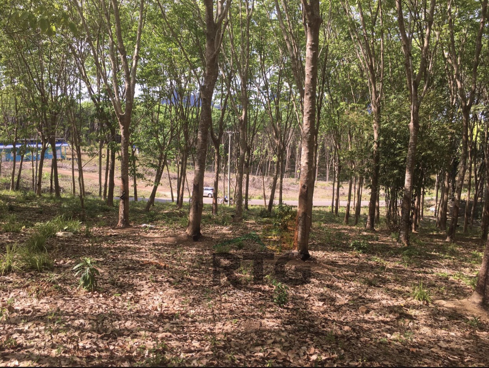 ที่ดินควรค่ากับการลงทุนบนแหล่งท่องเที่ยวสำคัญ-จกระบี่-บนเนื้อที่-9-1-725ไร่