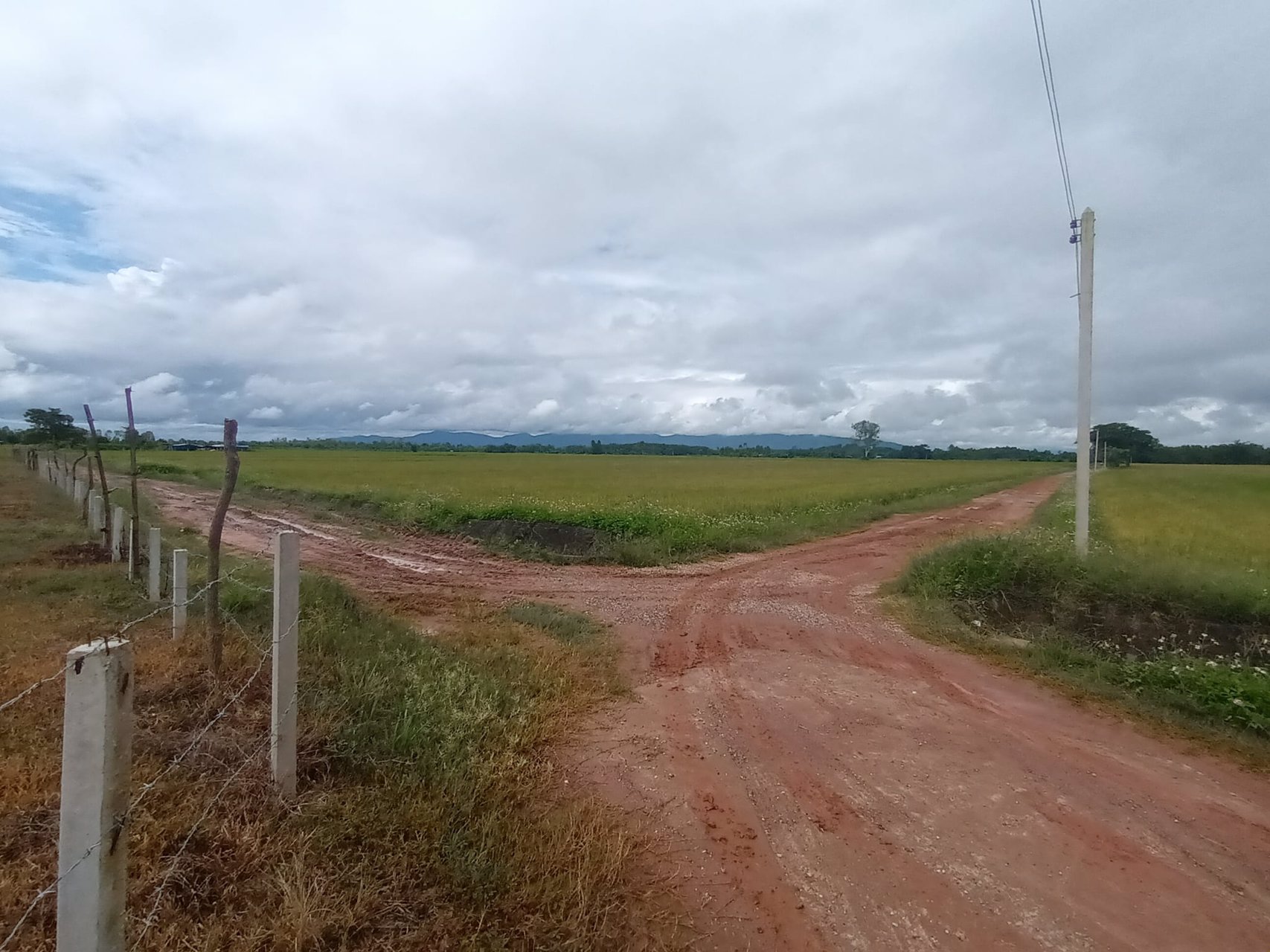 แบ่ง-ขายที่ดิน-ทั้งเงินสด-เงินผ่อน