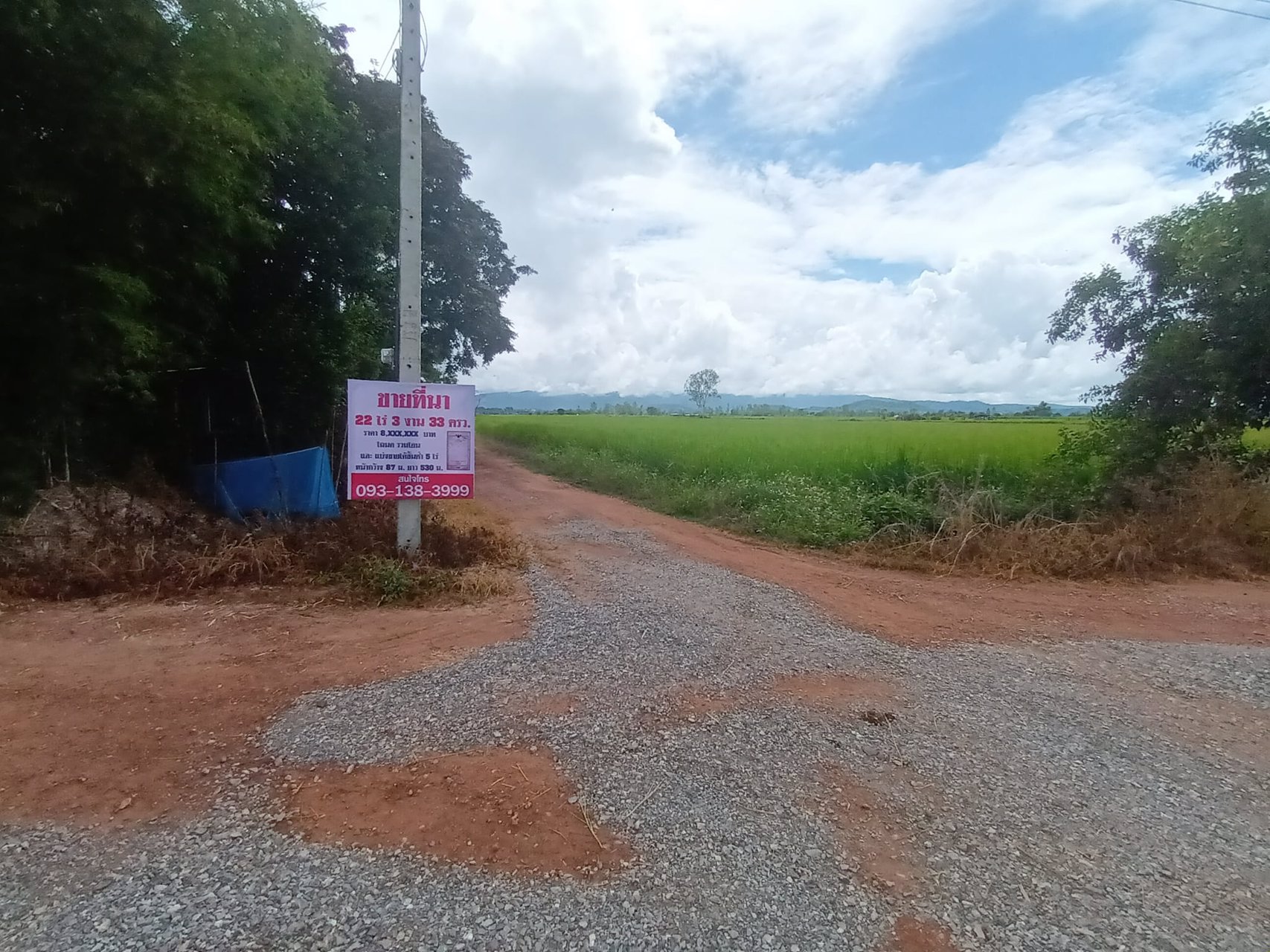 แบ่ง-ขายที่ดิน-ทั้งเงินสด-เงินผ่อน