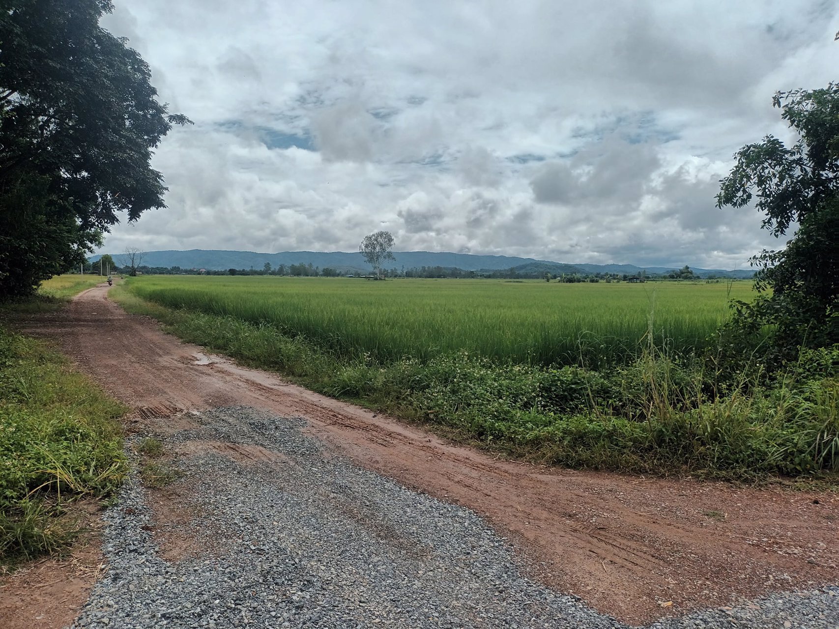 แบ่ง-ขายที่ดิน-ทั้งเงินสด-เงินผ่อน