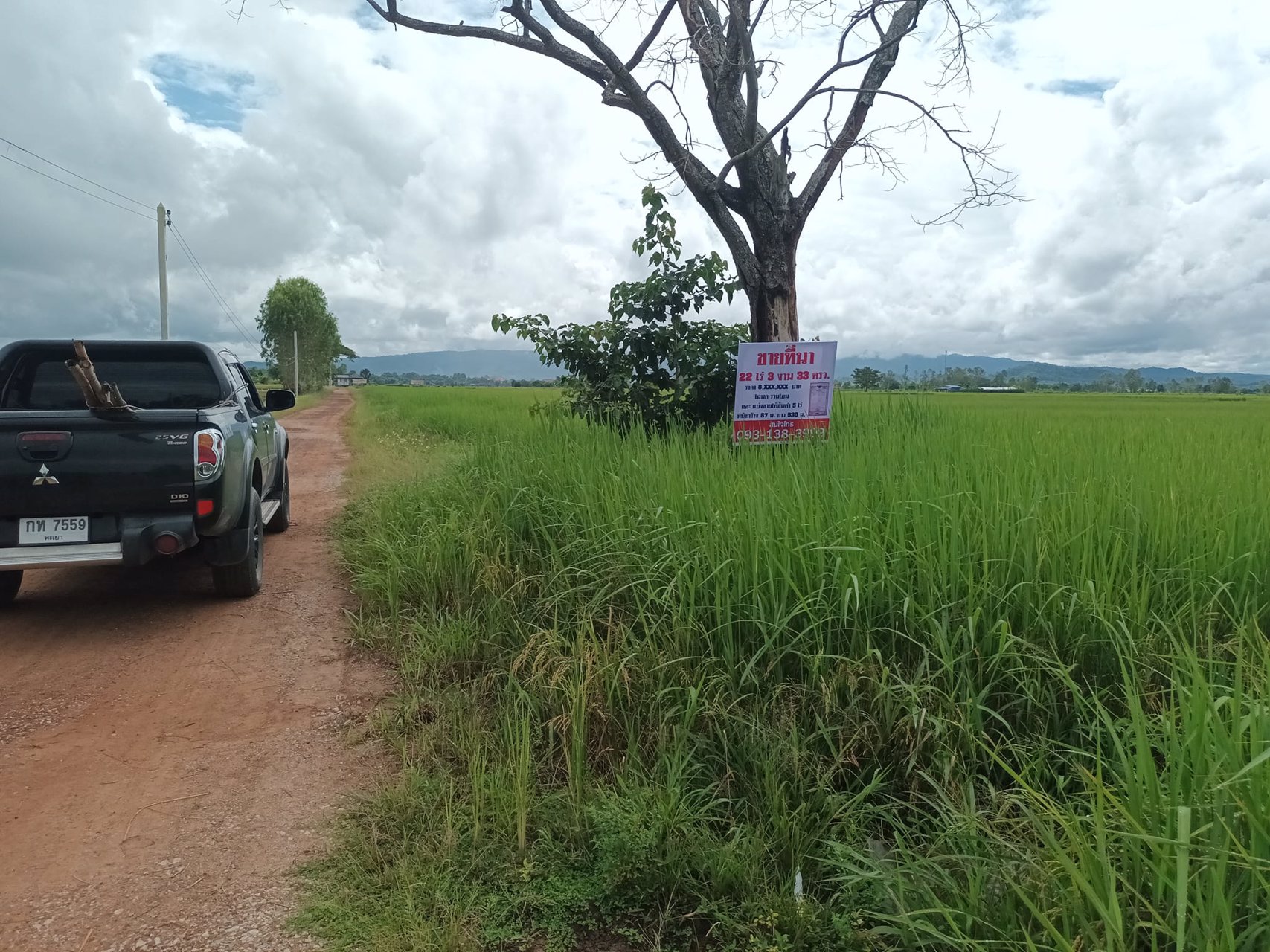 แบ่ง-ขายที่ดิน-ทั้งเงินสด-เงินผ่อน