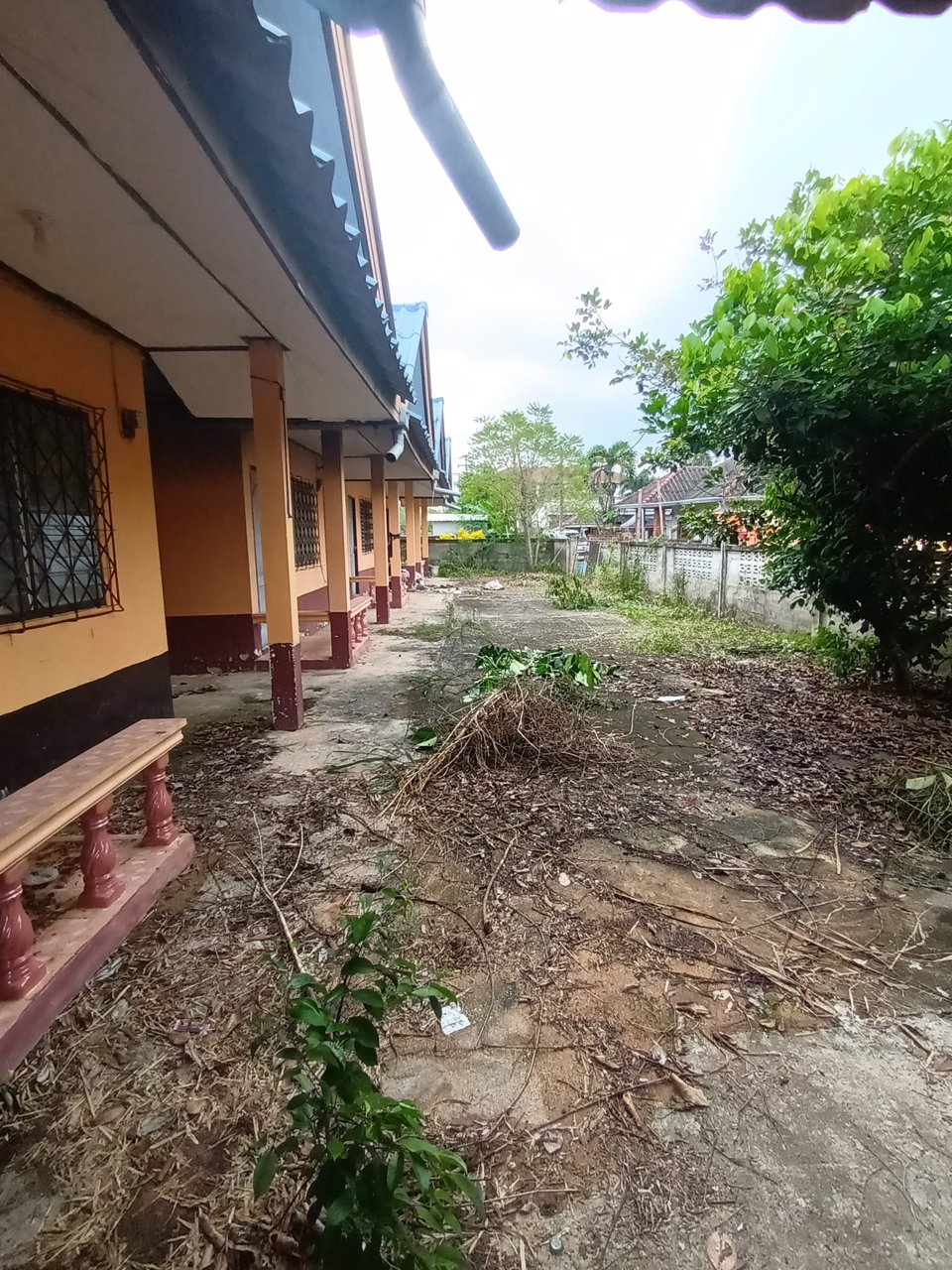 ขายที่ทั้งเงินสดและเงินผ่อน-ผ่อนได้1ปี-จ่ายงวดแรก-เข้าพื้นที่ได้เลย