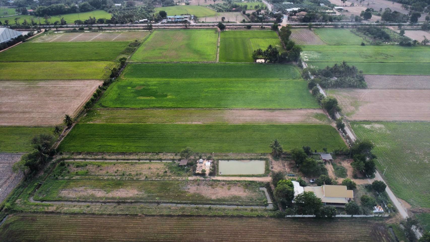 บ้านสวนทำการเกษตรผสมผสาน-พื้นที่-55-ไร่