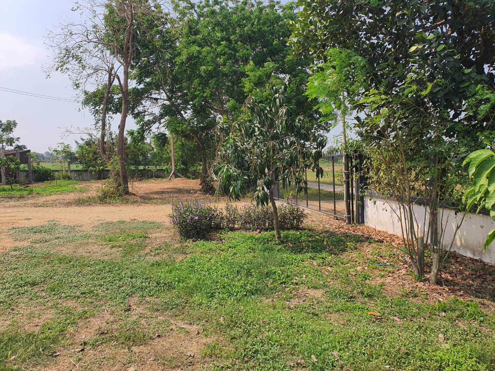 บ้านสวนทำการเกษตรผสมผสาน-พื้นที่-55-ไร่