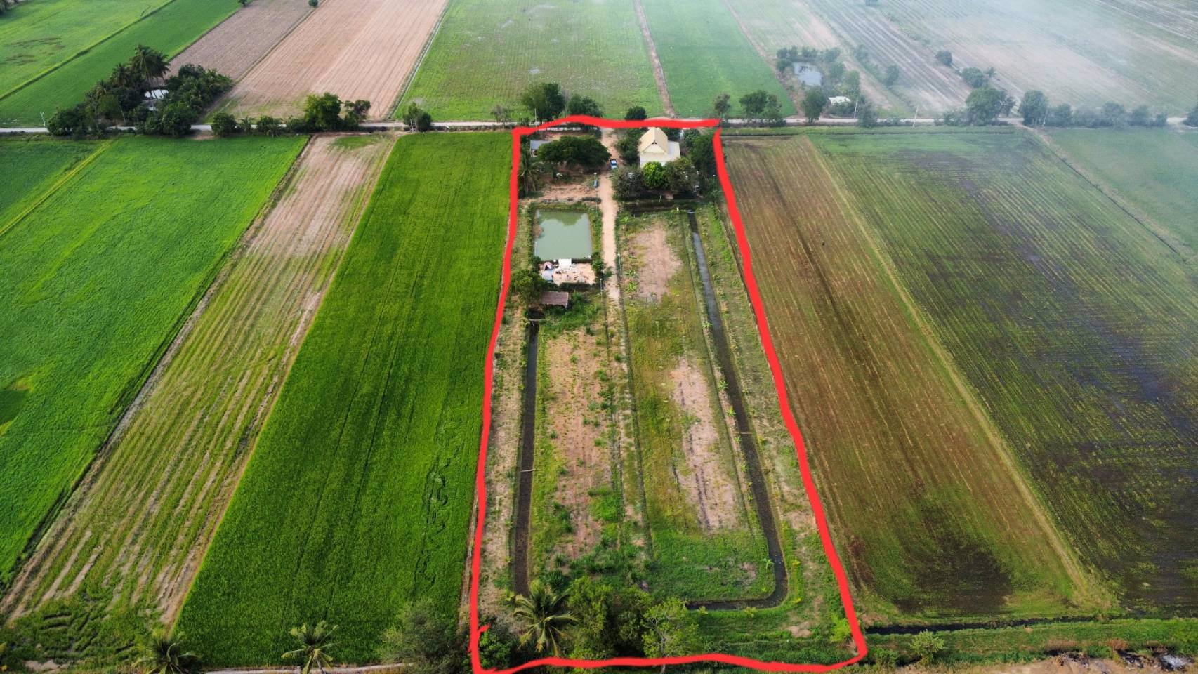 บ้านสวนทำการเกษตรผสมผสาน-พื้นที่-55-ไร่