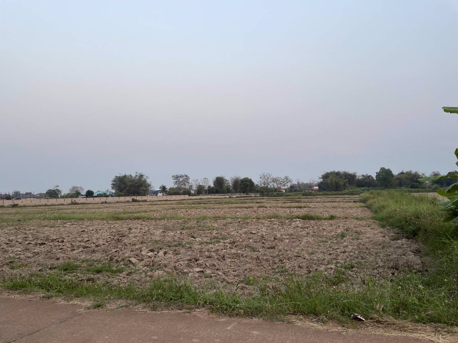 ขายที่ดิน-5-ไร่-3-งาน-บ้านป่าสักไก่-ตบ้านดู่-อเมือง-จเชียงราย