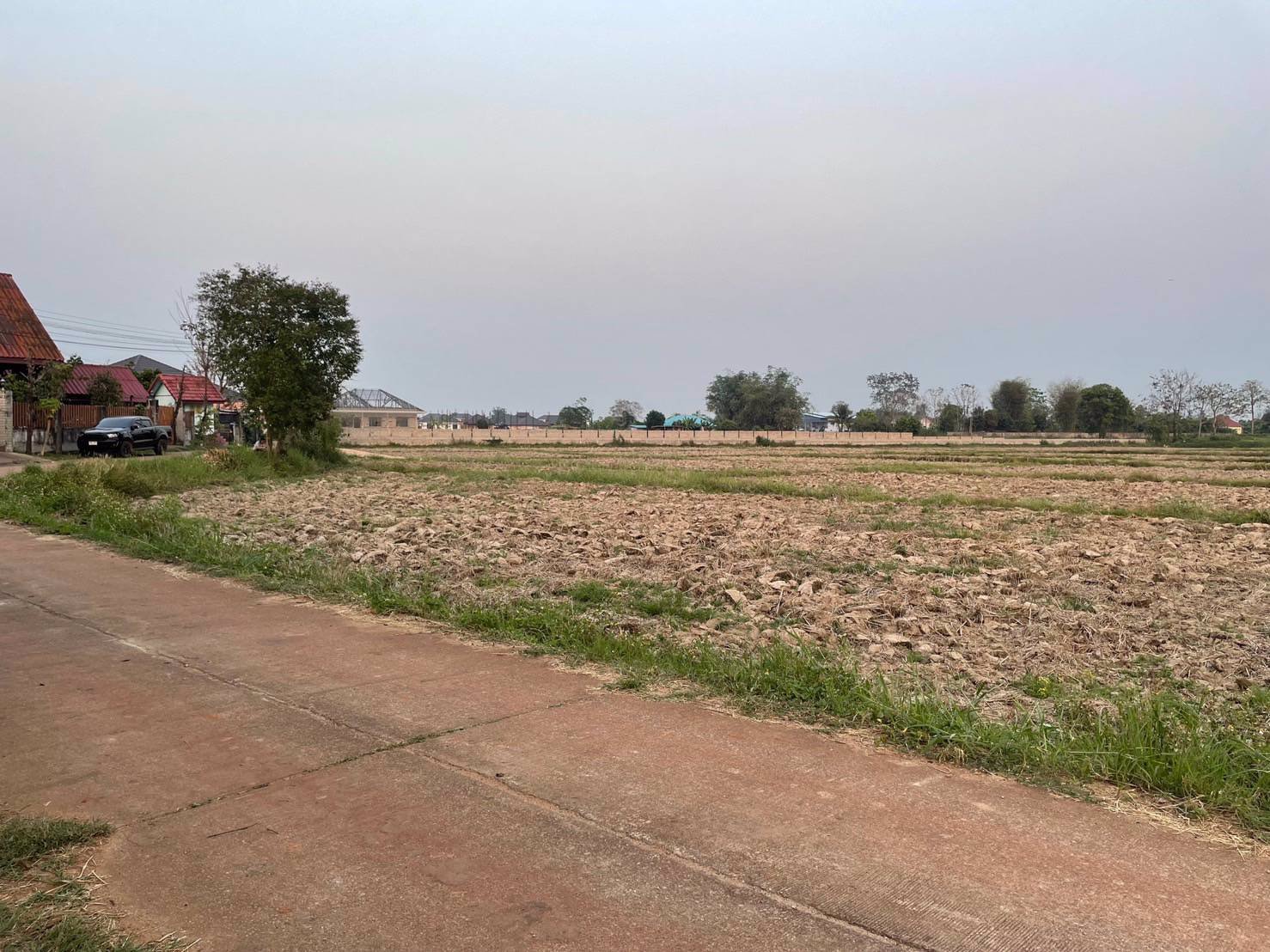 ขายที่ดิน-5-ไร่-3-งาน-บ้านป่าสักไก่-ตบ้านดู่-อเมือง-จเชียงราย